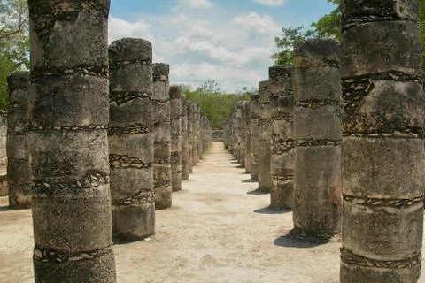 Set of columns in perspective in the jungle Stock Photos