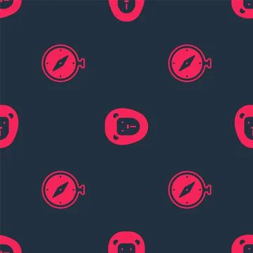 Set Compass and Wild lion on seamless pattern. Vector Stock Illustration