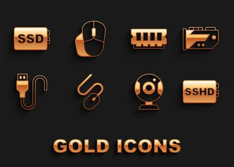 Set Computer mouse, Video graphic card, SSHD, Web camera, USB cable cord, RAM Stock Illustration