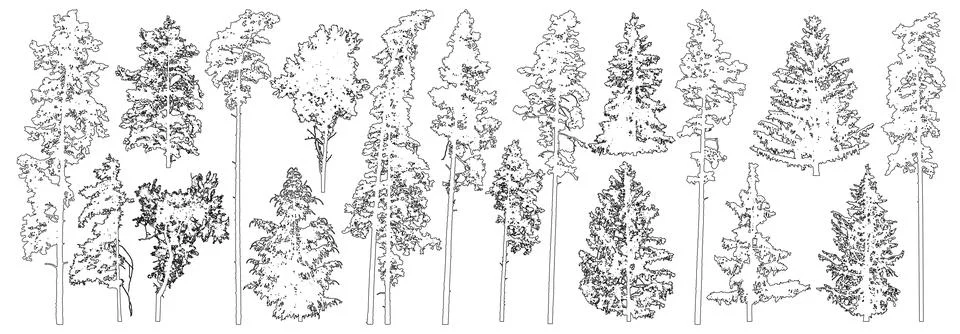 Set of coniferous and deciduous trees for architecture and landscape design.. Stock Illustration