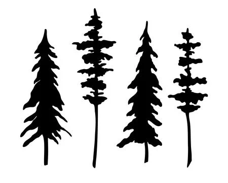 Set of Coniferous Trees silhouette. Vector illustration with Pines and Spruce Stock Illustration