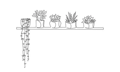 Set of continuous line drawing of houseplants succulents cactus and aloe vera in Stock Illustration