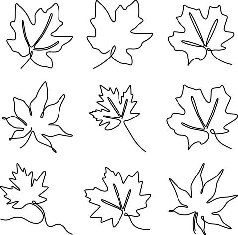 Set of continuous one line illustration of maple autumn tree leaf 스톡 일러스트