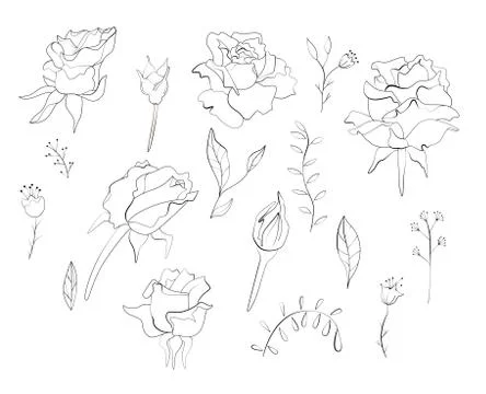 Set of contour drawn floral stylized elements Stock Illustration