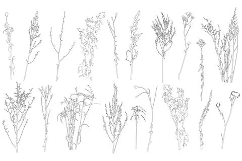 Set of contours different plants and weeds. Vector illustration. Stock Illustration