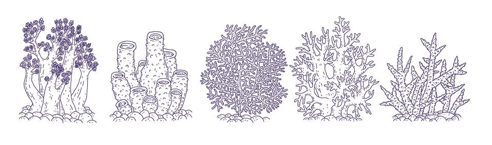 Set corals different forms. Vector coralline reef ocean animals underwater life Stock Illustration