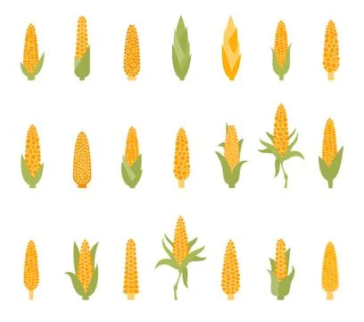 Set of corn with green leaves. Illustrazione stock