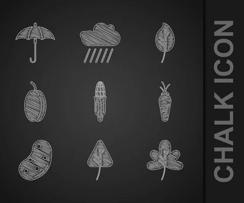 Set Corn, Leaf leaves, Carrot, Potato, Plum fruit, and Umbrella icon. Vector Stock Illustration