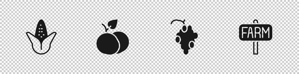 Set Corn, Mango fruit, Grape and Location farm icon. Vector Stock Illustration