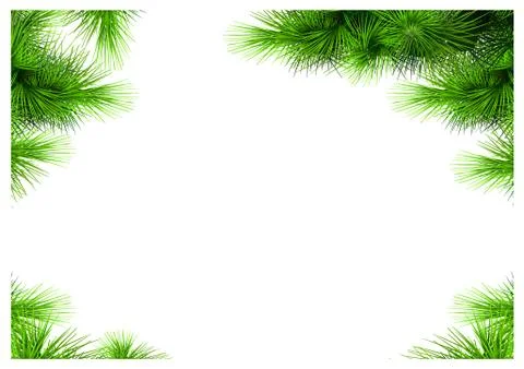 Set of corners of pine needles patterns Stock Illustration