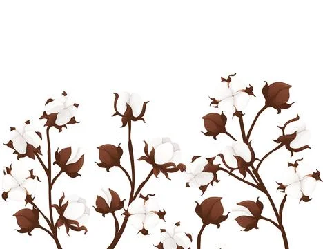 Set of cotton flower branch vector illustration isolated on white background Stock Illustration