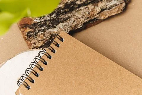 Set of craft elements with copy space and green leaves Stock Photos