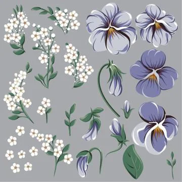 Set for creating floral frame with viola flowers Stock Illustration
