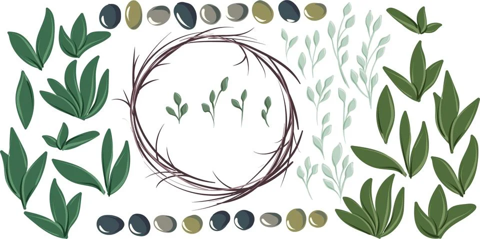 Set for creating round olive wreath Stock Illustration
