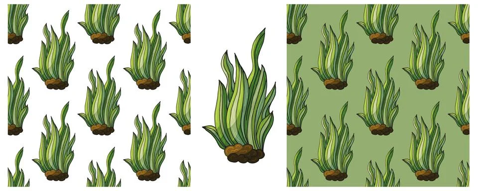 Set Creative marine seamless patterns. Algae. Pattern in hand draw style, cre Illustrazione stock
