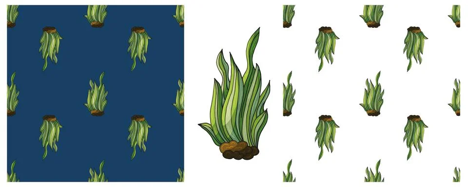 Set Creative marine seamless patterns. Algae. Pattern in hand draw style, cre Stockillustratie