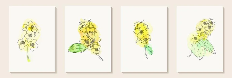 Set of creative minimalist hand draw illustrations floral outline and pastel Stock Illustration