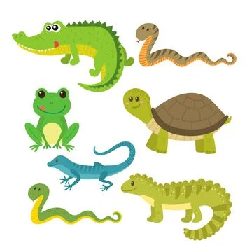 Set of creeping things. Wild animals Stock Illustration