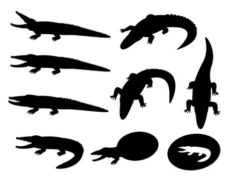 Set of crocodile silhouettes on white, vector Stock Illustration
