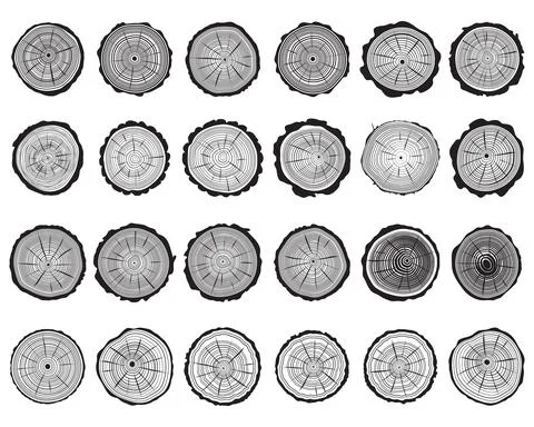 Set of cross section of trunks Stock Illustration