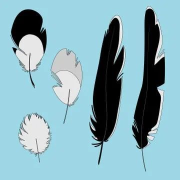 Set of crow vector feathers. Illustrazione stock