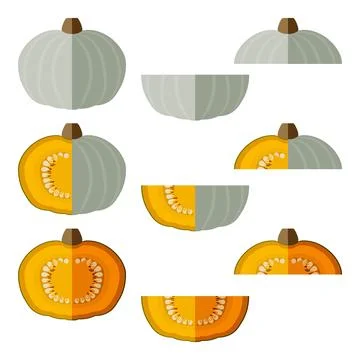 Set of Crown Prince Squash. Flat design 스톡 일러스트