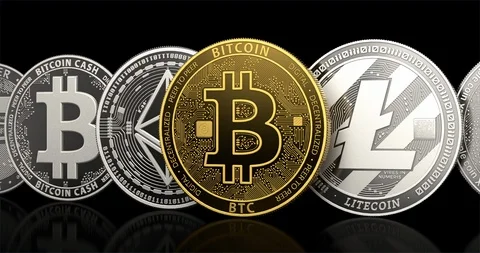 Set of cryptocurrencies with a golden bitcoin on the front as the leader. Bit 스톡 동영상 108086286