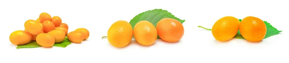 Set of cumquats on a background Stock Photos