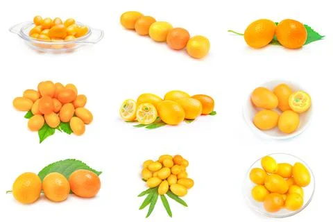 Set of cumquats on a white background cutout Stock Photos