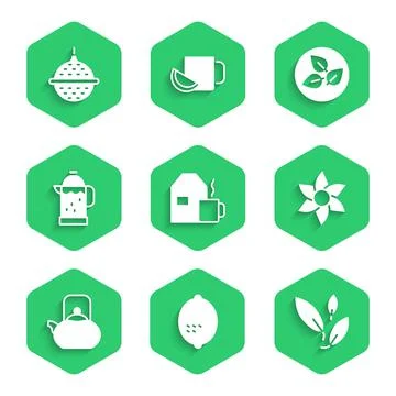 Set Cup of tea with milk, Lemon, Tea leaf, Flower, Kettle handle, French press Illustration