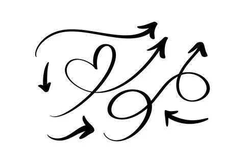 Set Curved Wavy for Bundle Simple Vector Illustration Arrow. Design Projects Stock Illustration