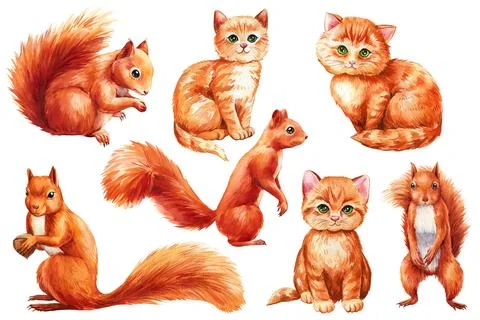 Set of cute animals, squirrels and kittens on isolated white background Stock Illustration