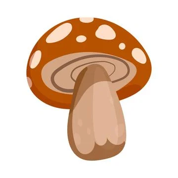 Set of cute autumn vector illustrations - mushrooms, fly agaric, leaves. Illustrazione stock