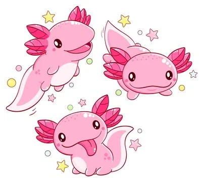 Set of cute axolotl  in kawaii style. Collection of lovely axolotl baby in .. Stock Illustration