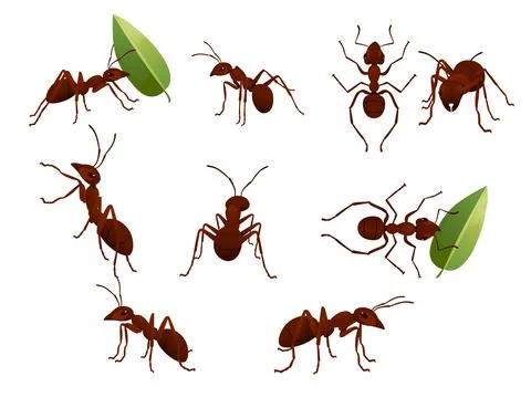 Set of cute brown ant holding a green leaf cartoon bug animal design vector i Stock Illustration