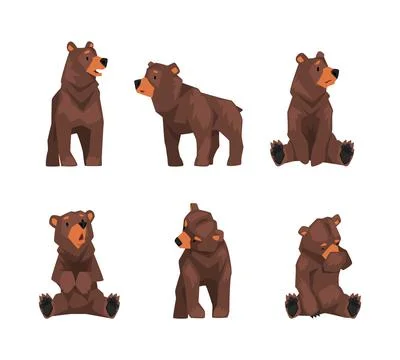 Set of cute brown bear in different poses. Wild forest sitting and standing Stockillustratie