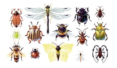Set of cute cartoon bugs, vector illustartion Stock Illustration
