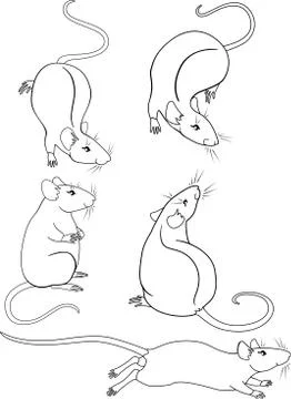 Set of cute cartoon linear decorative rats Stock Illustration