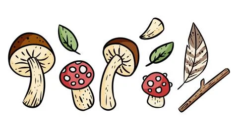Set of cute cartoon nature elements. Comic style graphic symbols. Mushrooms, Stock Illustration