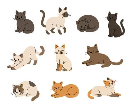 Set of cute cats in different poses and colors. Flat vector illustration of Stock Illustration
