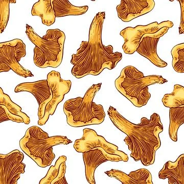 Set of cute chanterelles Ilustración de archivo