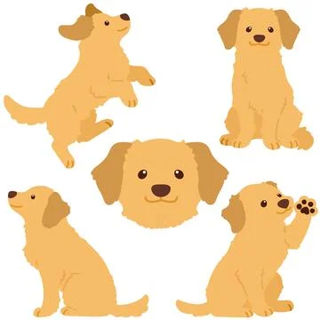 Set of cute flat colored Golden Retriever illustrations Stock Illustration