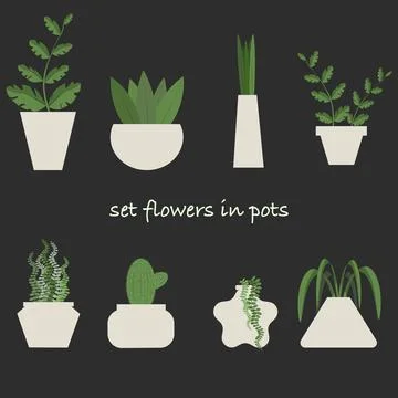 Set of cute flat plants flowers with unusual shaped pots on the black background Stock Illustration