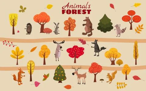 Set of cute forest animals bear, raccoon, squirrel, hare, fox, wolf, hedgehog Stock Illustration