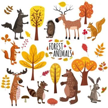 Set of cute forest animals bear, raccoon, squirrel, hare, fox, wolf, hedgehog Stock Illustration