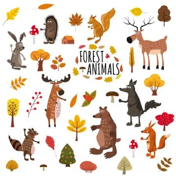 Set of cute forest animals bear, raccoon, squirrel, hare, fox, wolf, hedgehog Stock Illustration