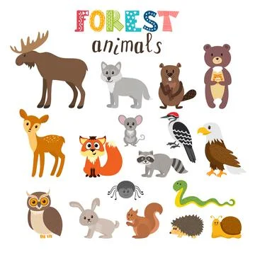 Set of cute forest animals in vector. Woodland. Cartoon style Stock Illustration