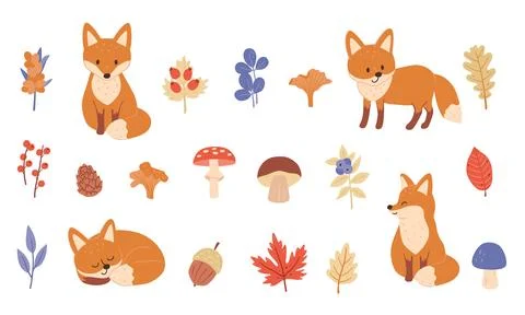 Set with cute foxes and forest plants with twigs leaves. Childish vector Stock Illustration