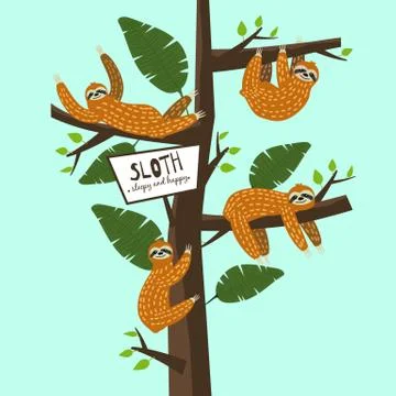 Set Cute funny sloth hanging on the tree. Sleepy and happy. Adorable hand drawn Stock Illustration
