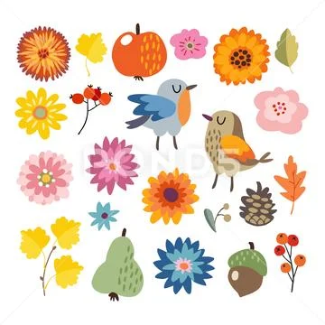 Set of cute hand-drawn autumn, fall elements. Birds and various flowers, fruit Stock Illustration